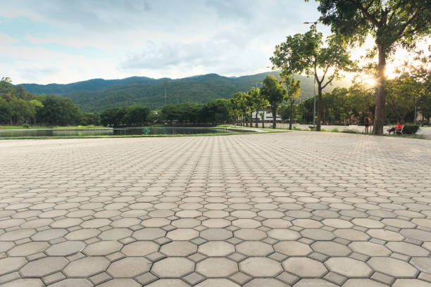 Best Affordable Driveway Pavers  in Adelino, NM
